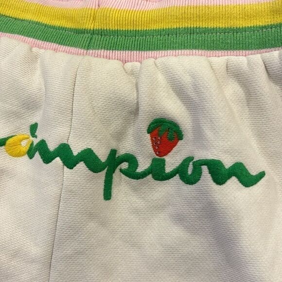 Champion Reverse Weave Watermelon Strawberry Striped Athletic Shorts Small‌‌‍‍‍‍ - Picture 7 of 7